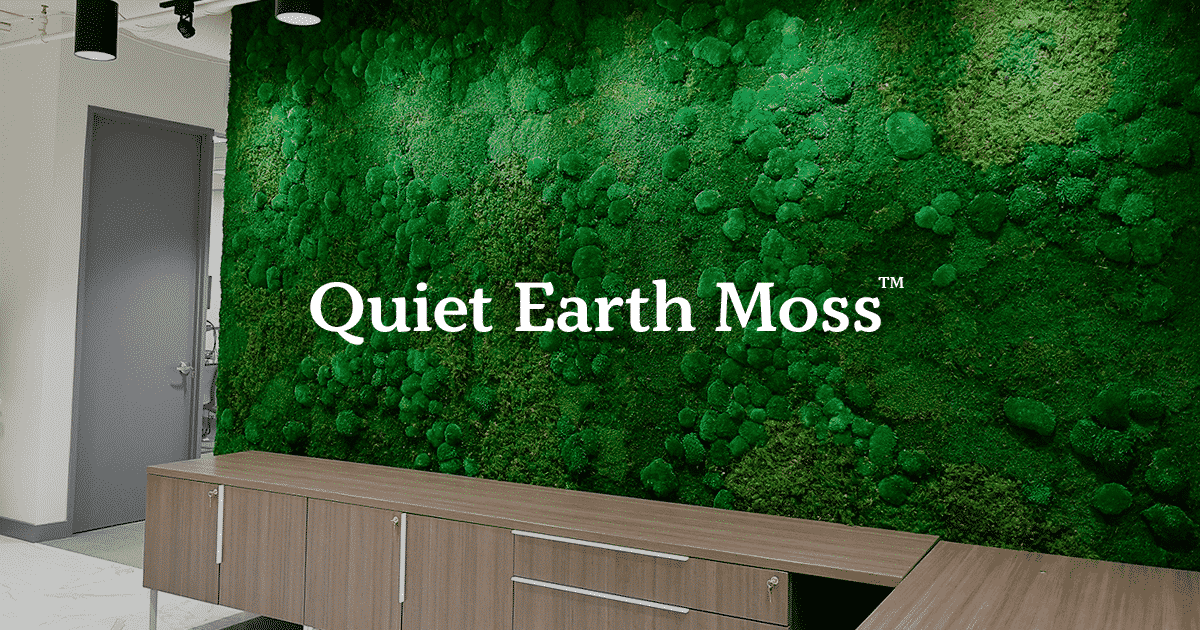 Acoustic Dampening Moss Wall Panels | Quiet Earth Moss